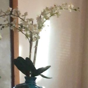 Meet your Posher, Gabriela